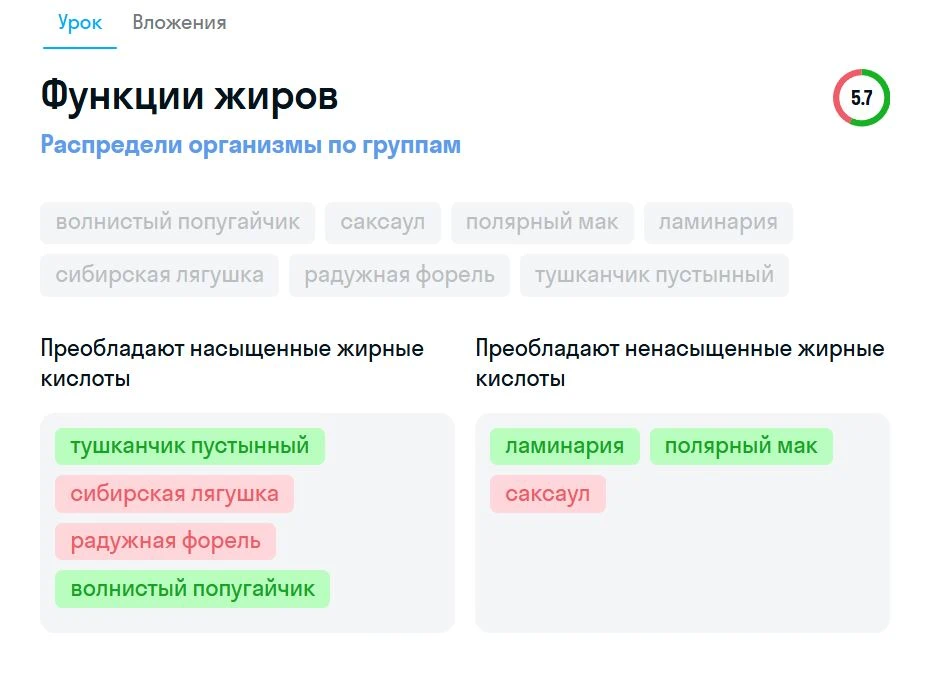 Обратная связь в Домашнем лицее