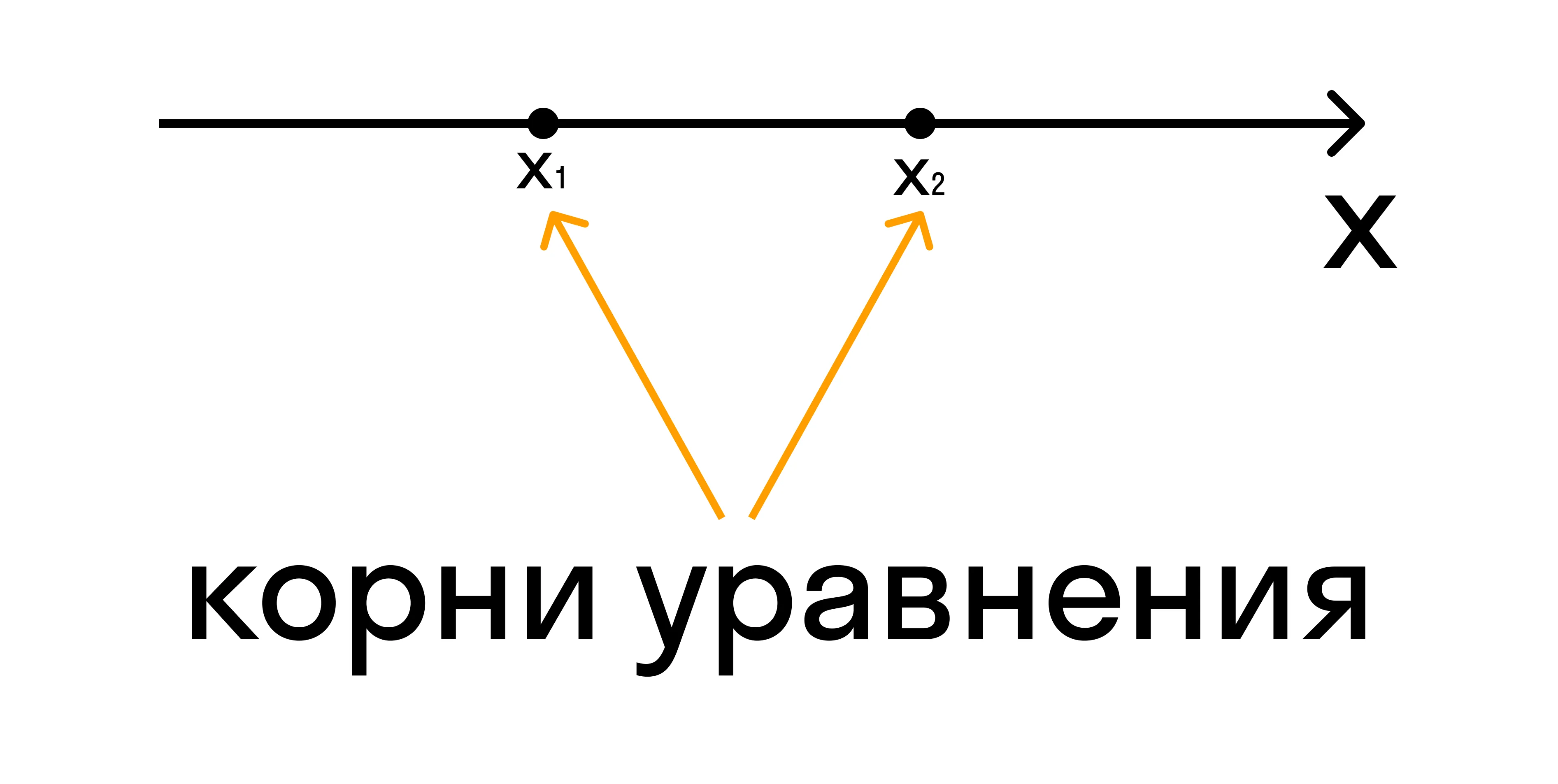 координатная прямая