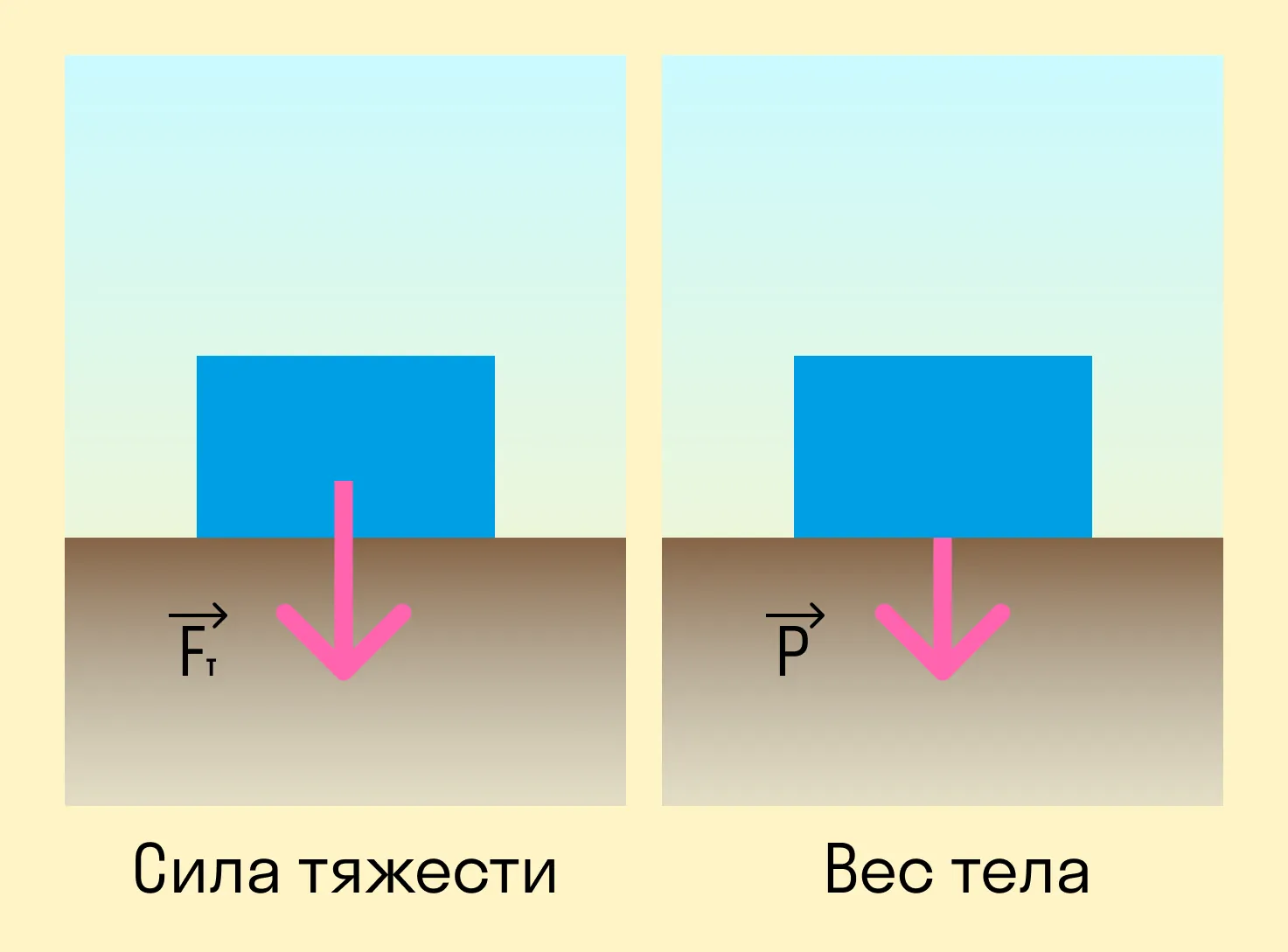 Разница между силой тяжести и весом тела