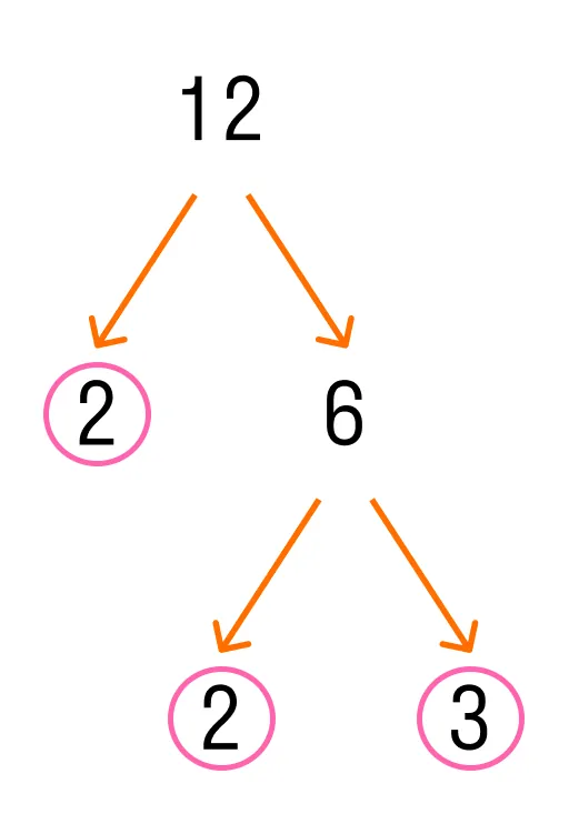 разложение числа 12 на множители