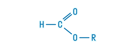 Общая формула сложных эфиров муравьиной кислоты