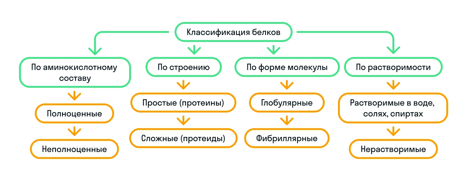 Классификация белков