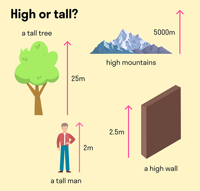 наглядный пример разницы tall и hight