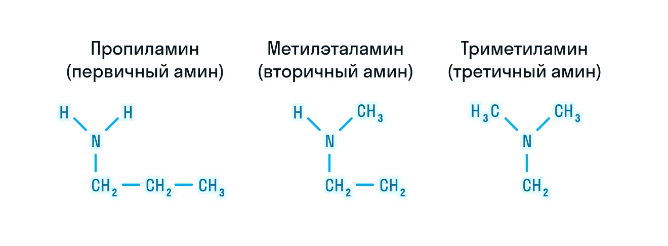 Изомерия аминов, рисунок 2