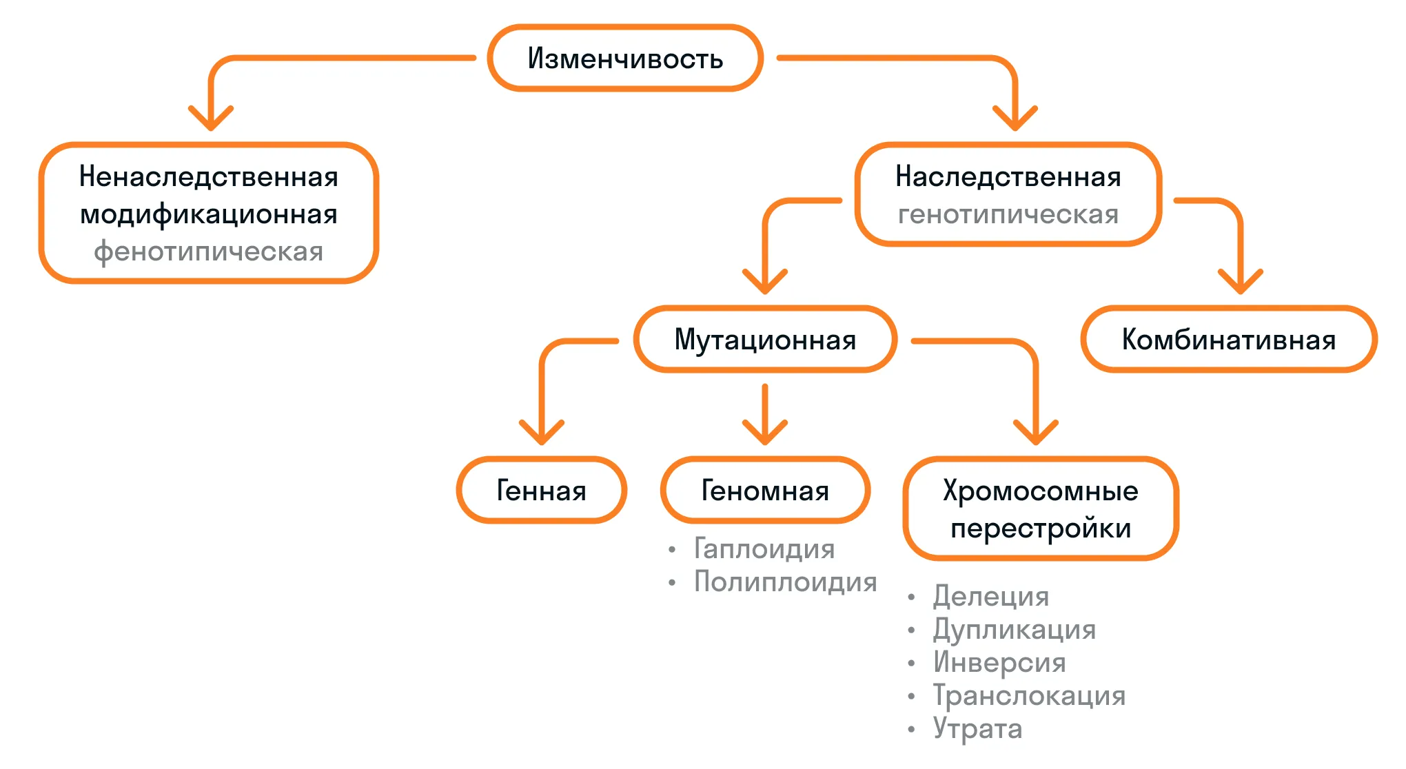 Виды изменчивости