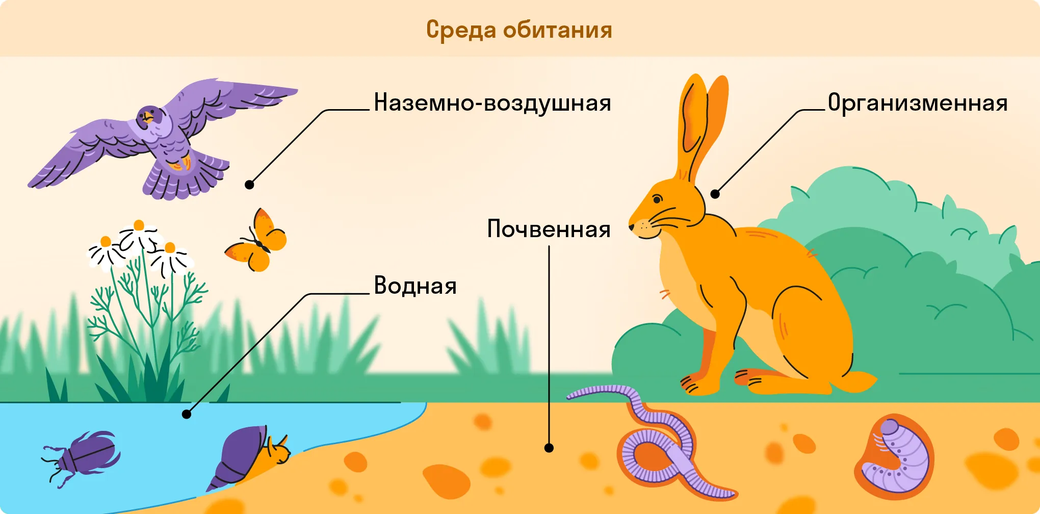 Среды обитания живых организмов