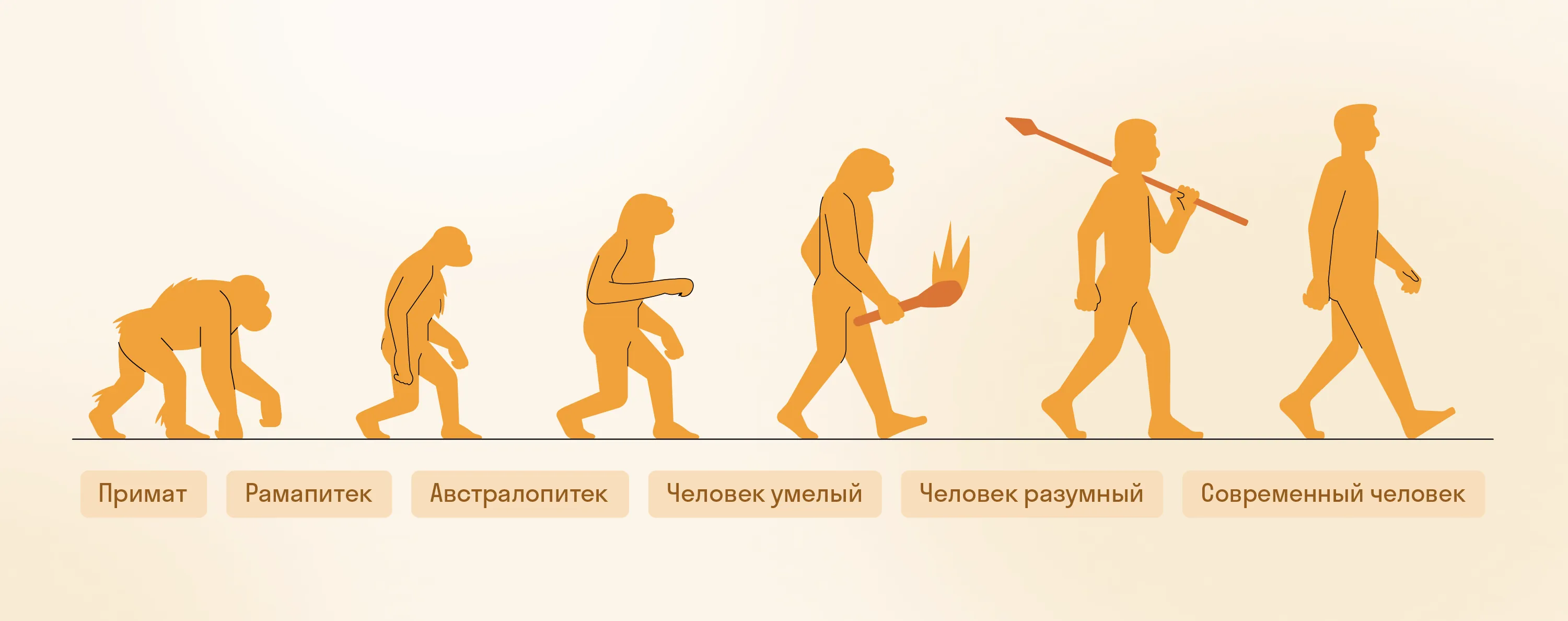 Предки современного человека