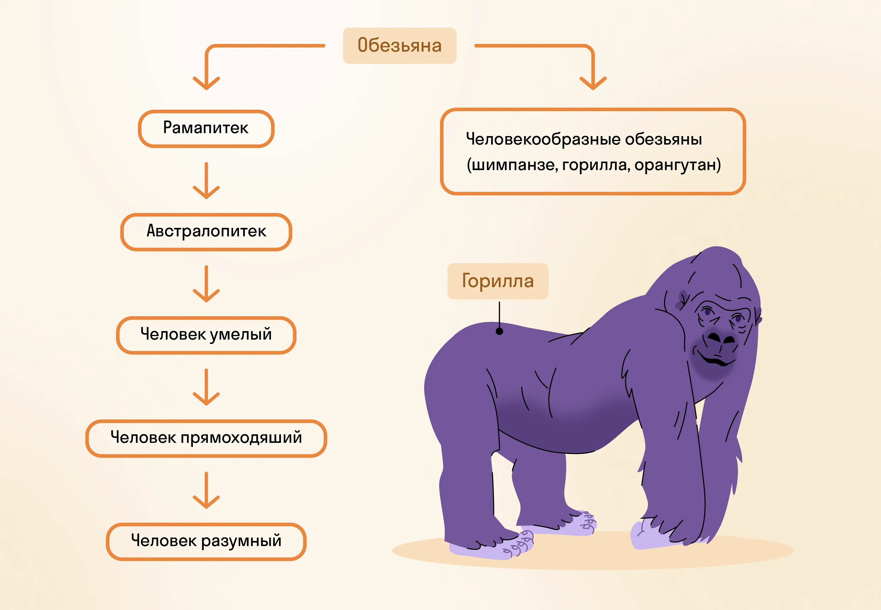 Происхождение человека