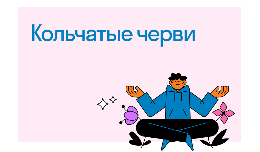 Тип Кольчатые черви: строение и примеры