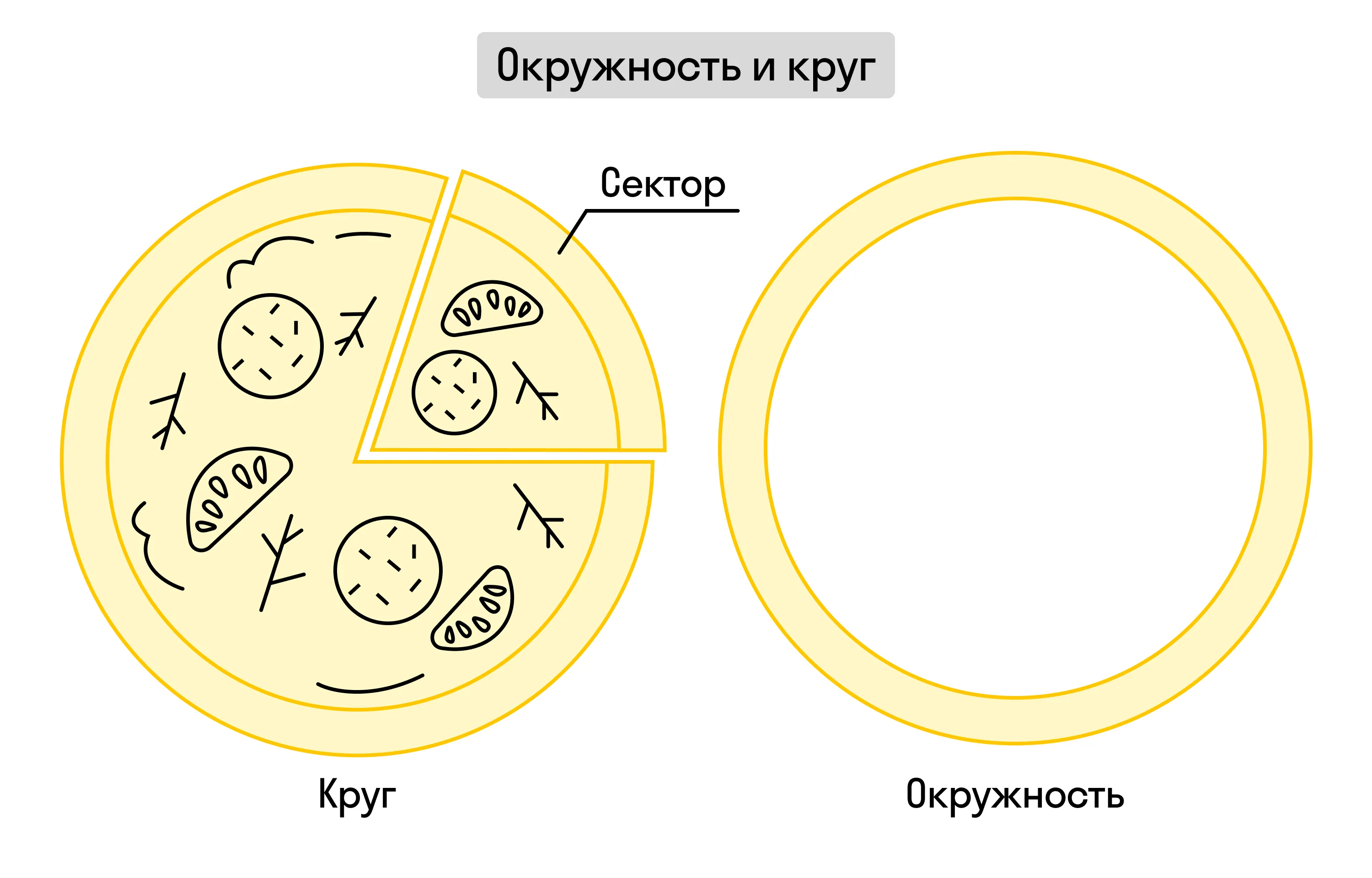 Окружность и круг: в чём разница