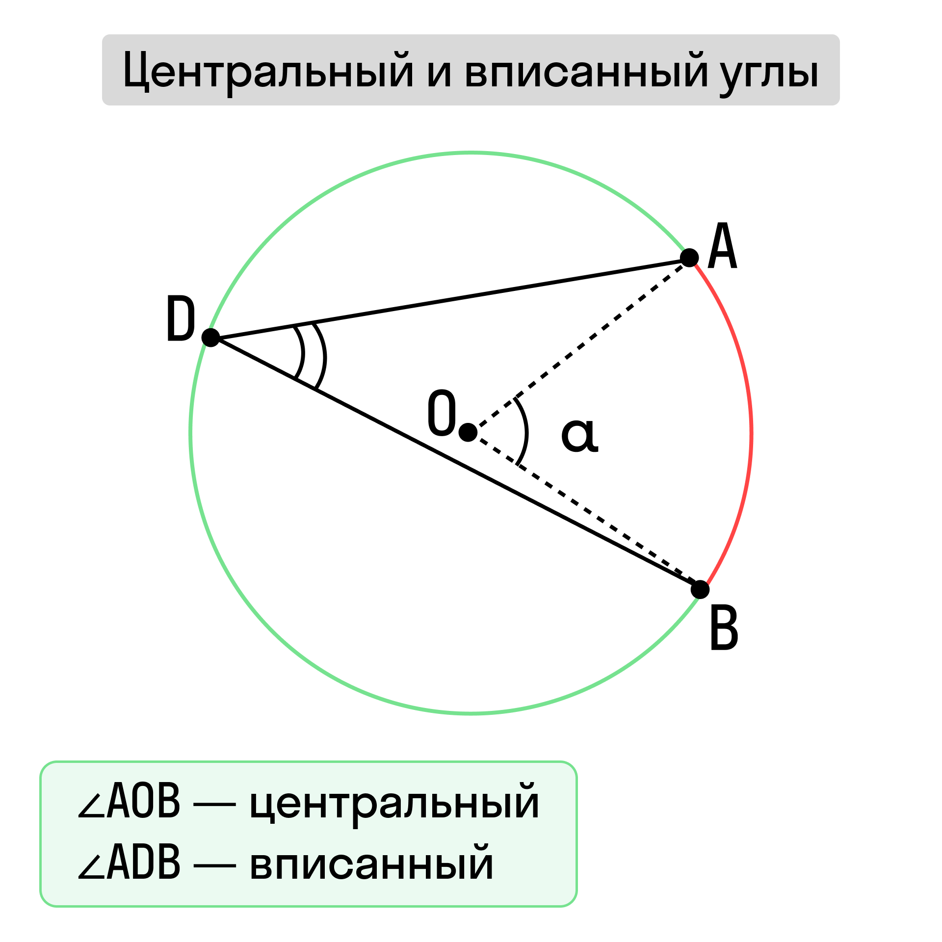 Центральный и вписанный углы