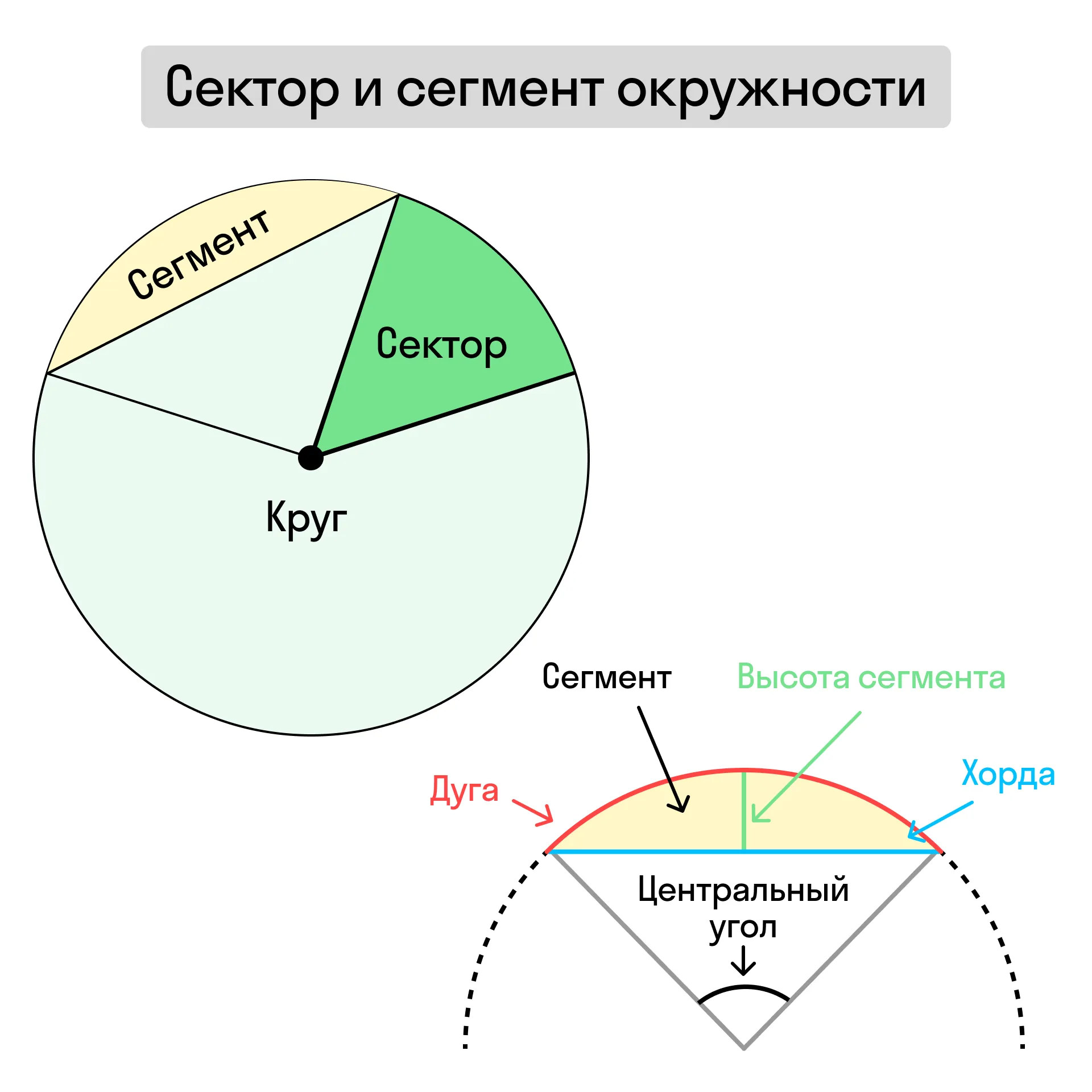 Сегмент и сектор круга