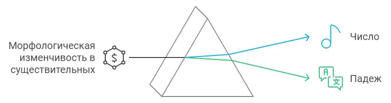 Непостоянные морфологические признаки имён существительных
