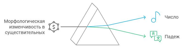 Непостоянные морфологические признаки имён существительных