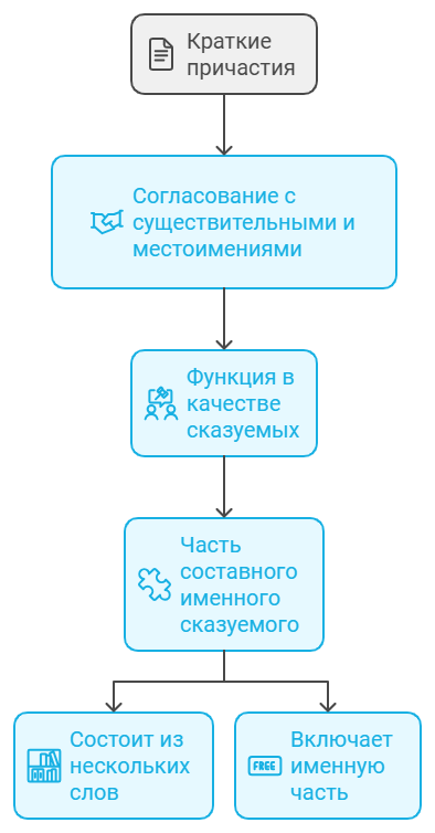 Роль кратких причастий в предложении