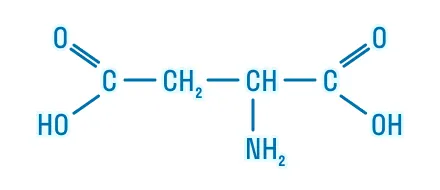 2-аминобутандиовая кислота