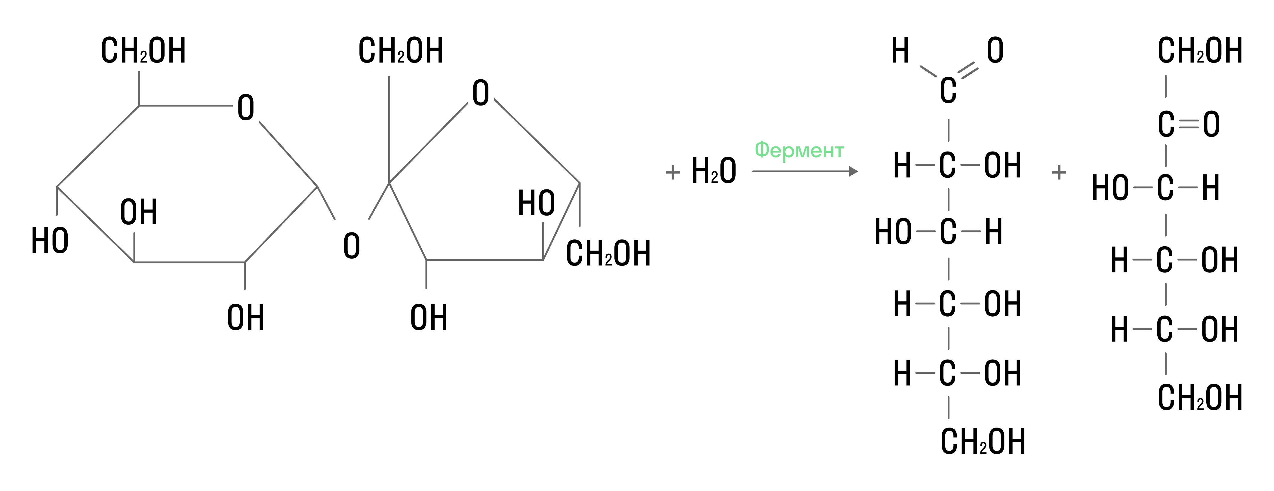 Гидролиз сложных углеводов