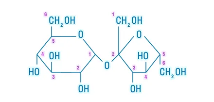 Сахароза