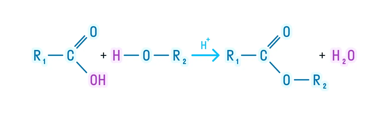 Реакция этерификации карбоновых кислот
