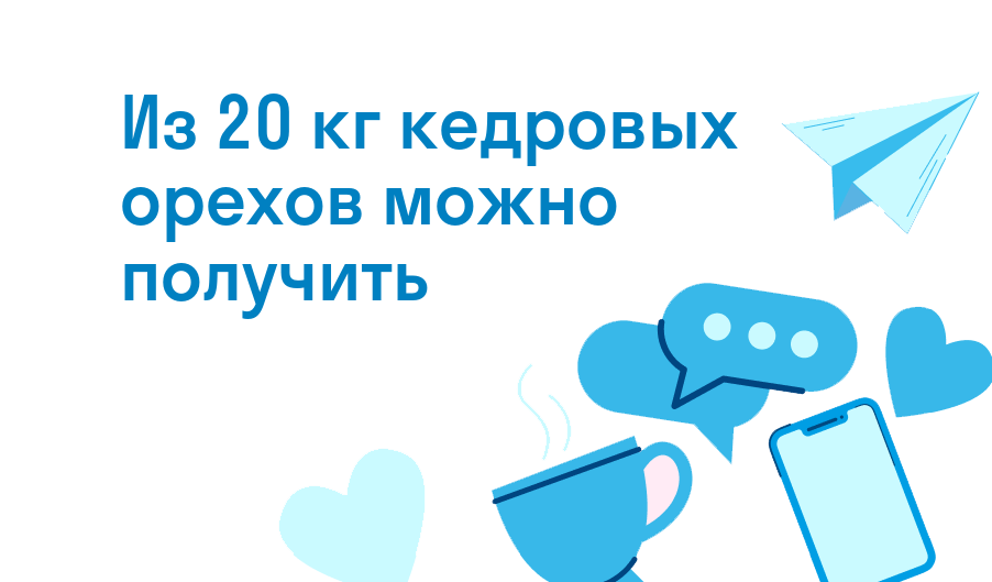 из 20 кг кедровых орехов можно получить