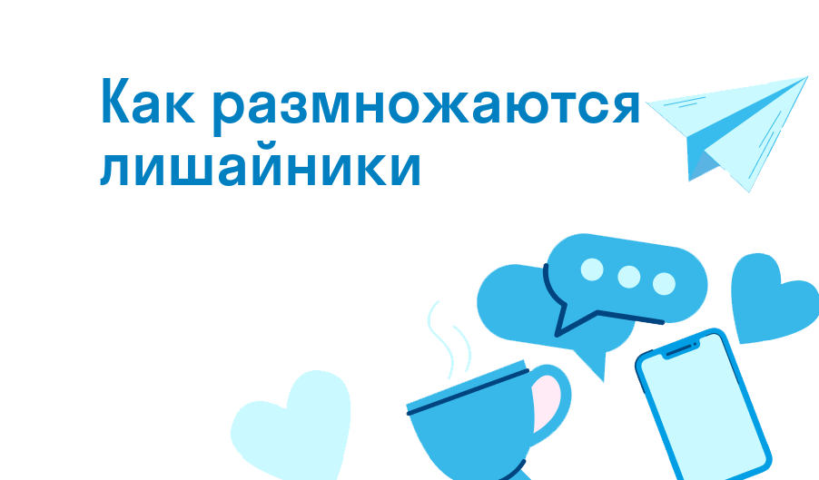 как размножаются лишайники