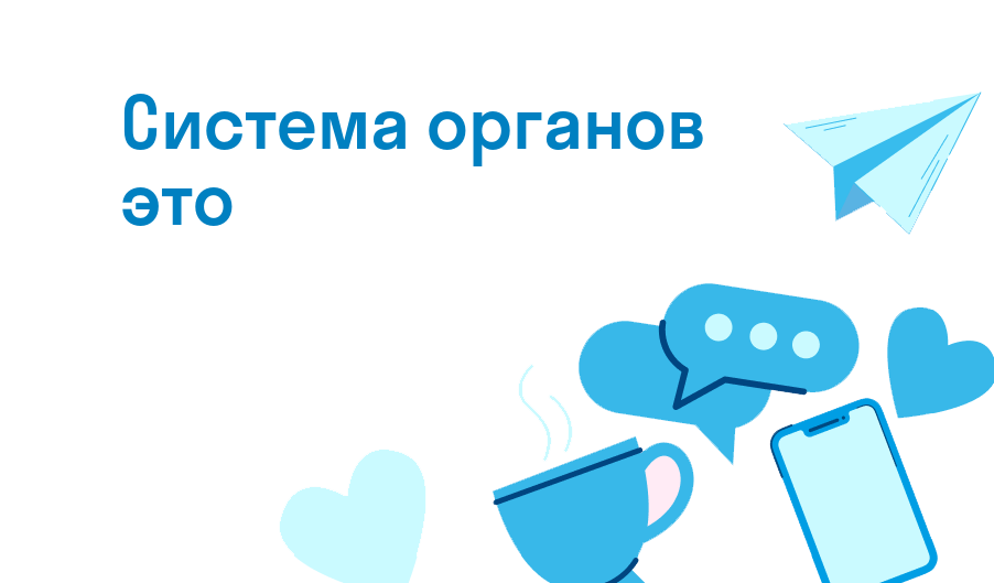 система органов это