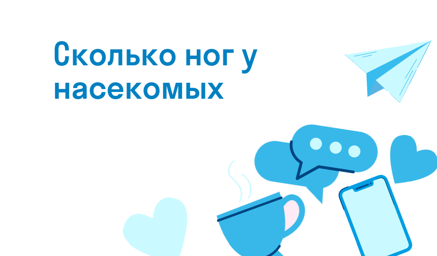 сколько ног у насекомых