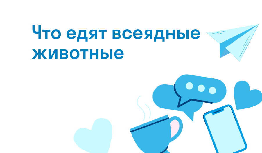 что едят всеядные животные