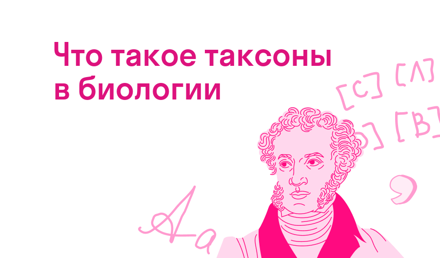 что такое таксоны в биологии