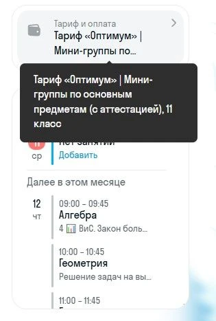 Тариф Оптимум в Домашнем лицее Skysmart