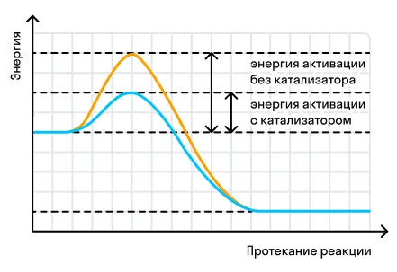 Воздействие катализатора на энергию активации