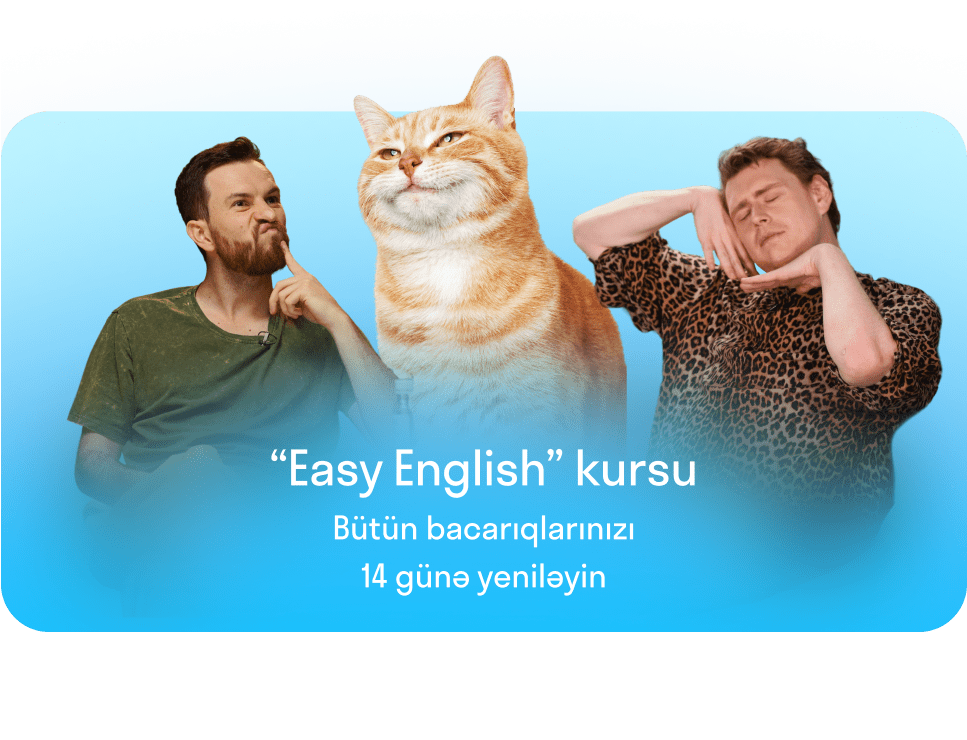 Card 6