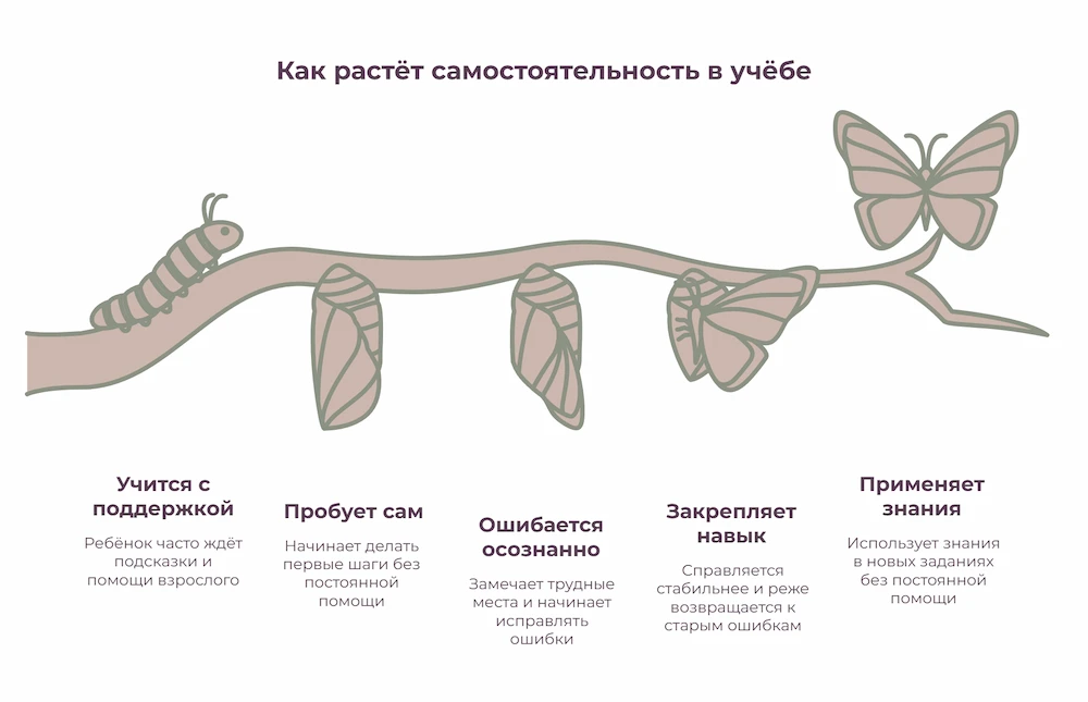 Как растет самостоятельность в учебе