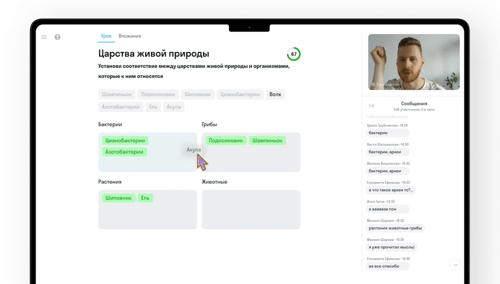 Уроки в Домашнем лицее
