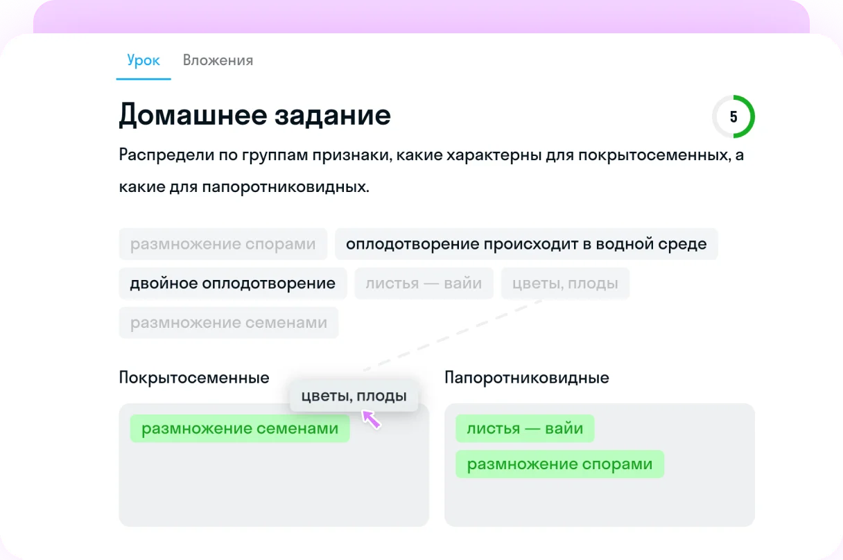 Домашние работы