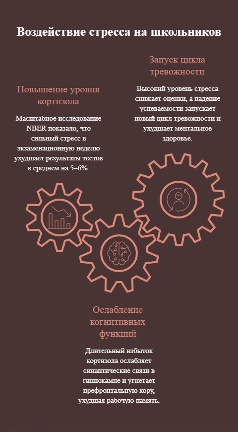 Влияние хронического стресса