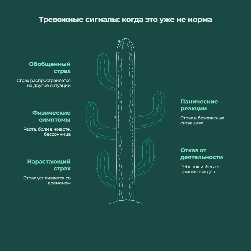 Когда страхи — не норма