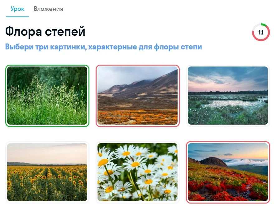 Задание по биологии